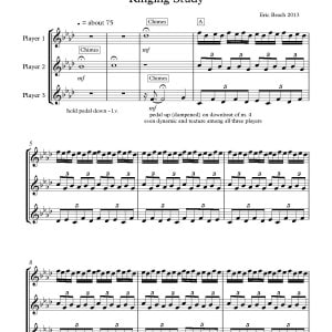 Cha-Beach - Ringing Study