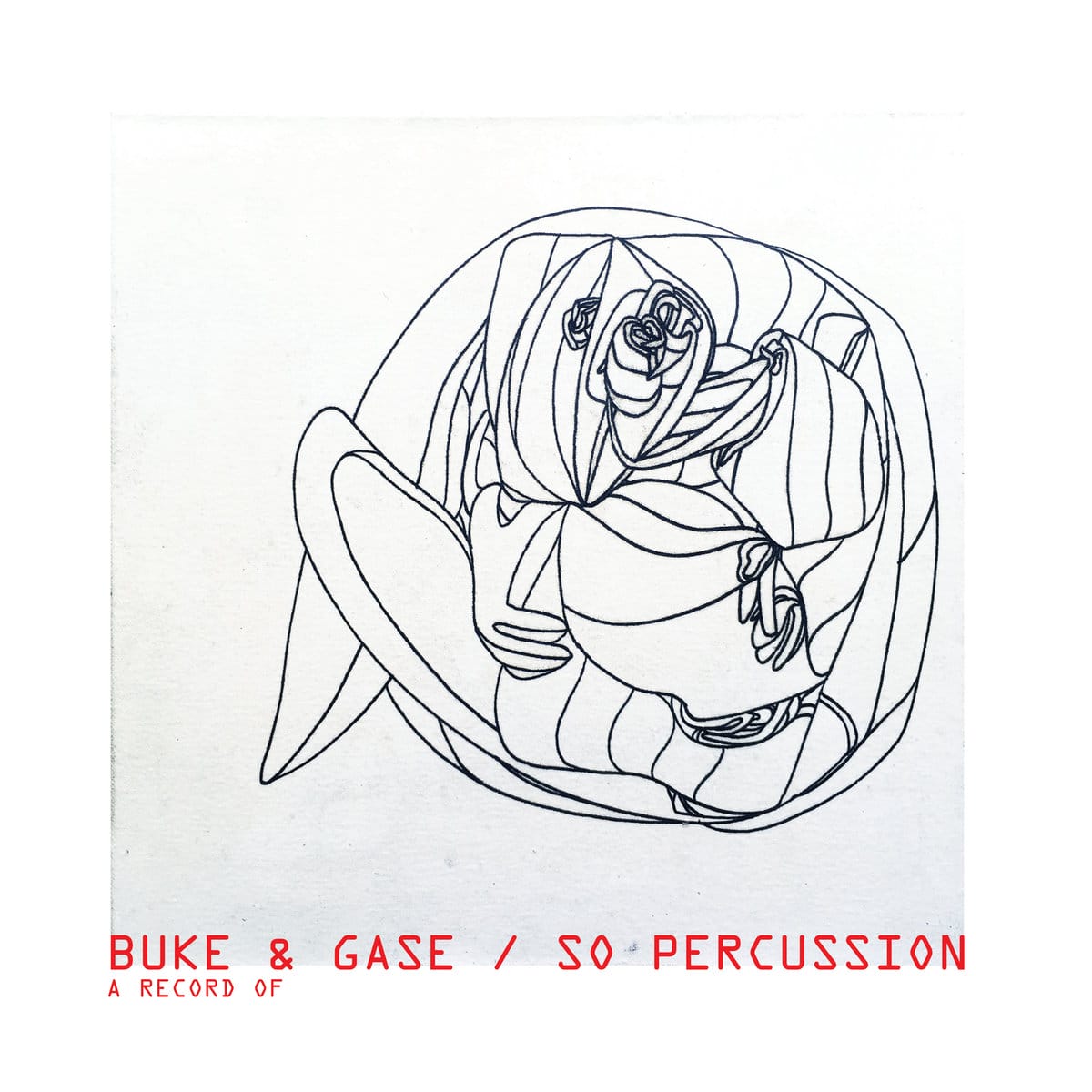Buke & Gase A Record Of Sō Percussion