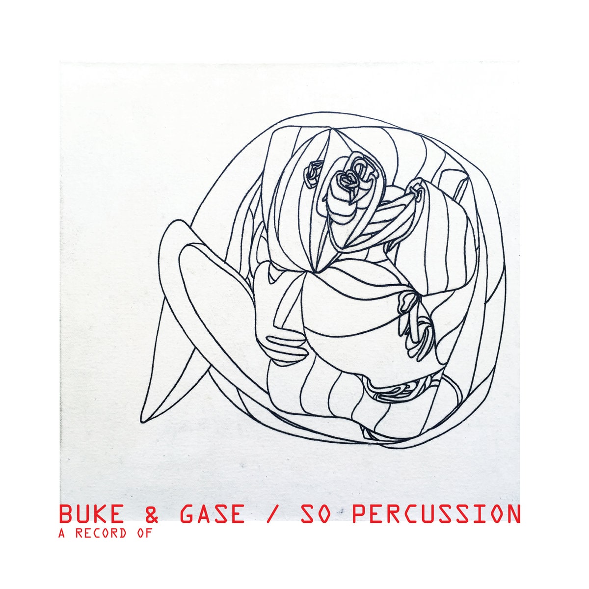 Buke & Gase - A Record Of