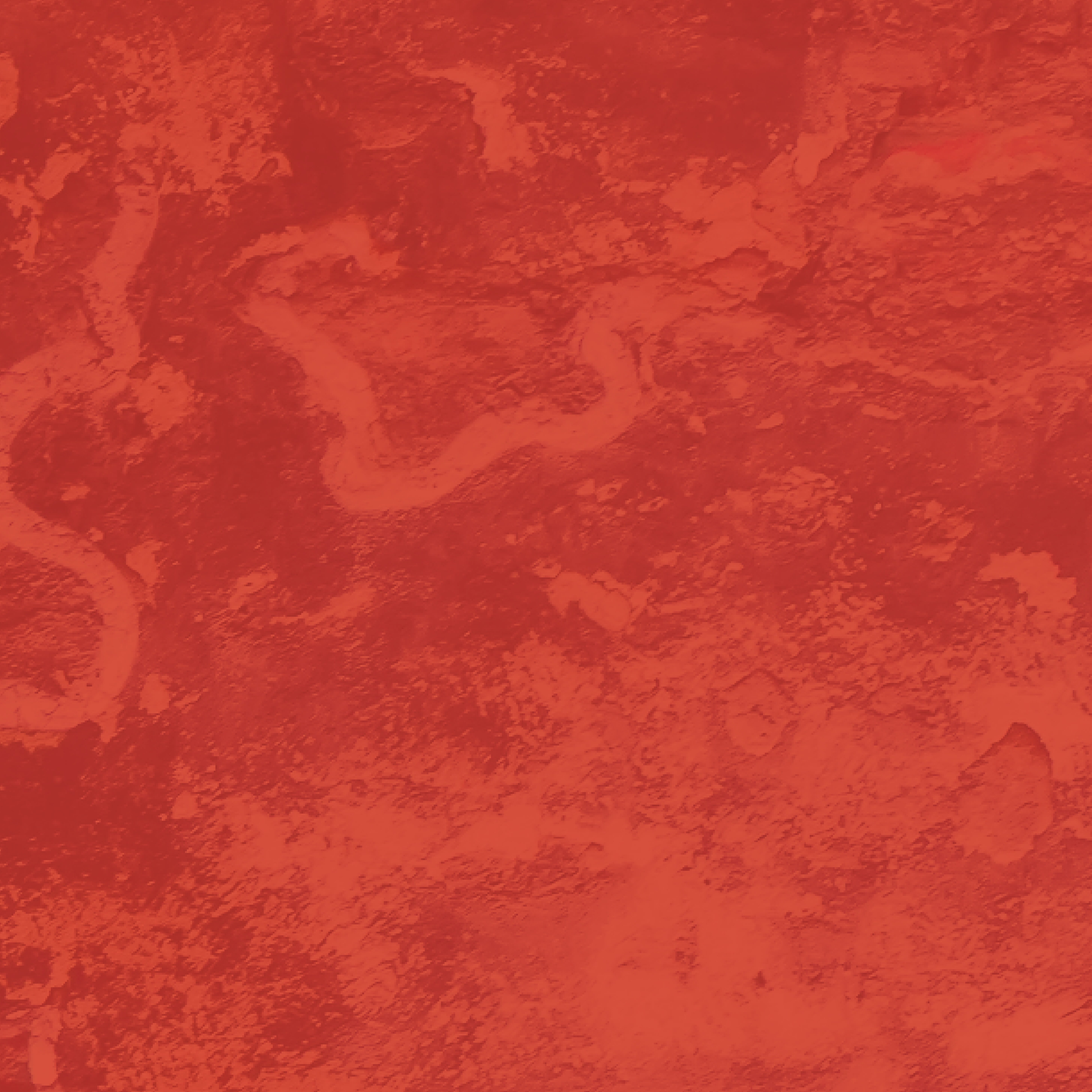 Sō Percussion Benefit 2024